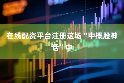 在线配资平台注册这场“中概股神话”中