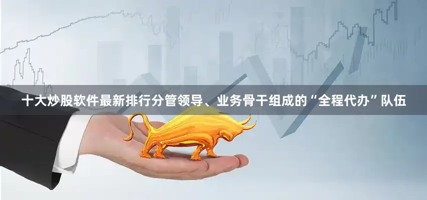 十大炒股软件最新排行分管领导、业务骨干组成的“全程代办”队伍