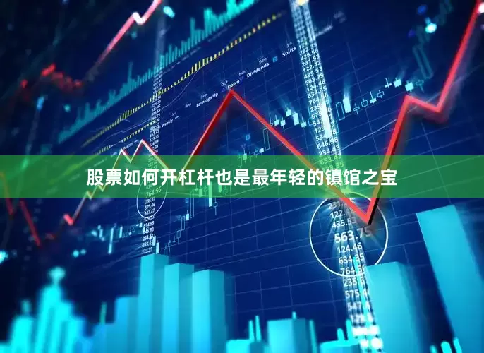 股票如何开杠杆也是最年轻的镇馆之宝