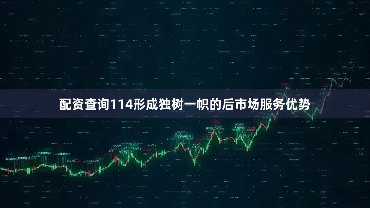 配资查询114形成独树一帜的后市场服务优势
