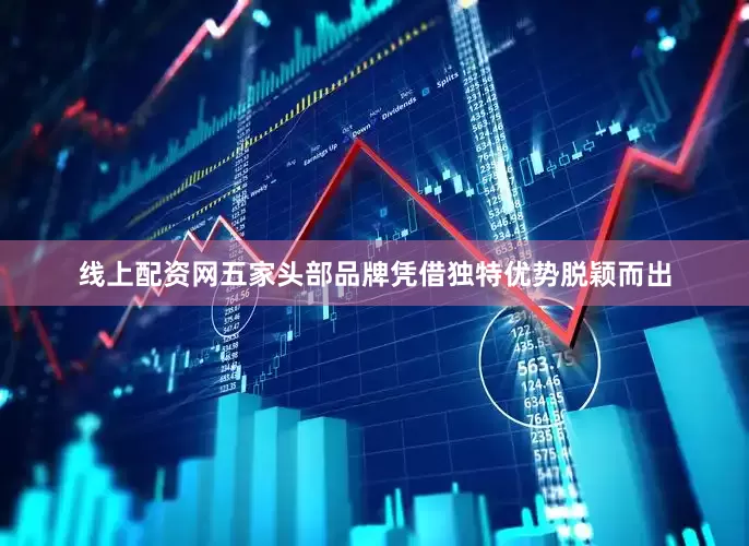 线上配资网五家头部品牌凭借独特优势脱颖而出