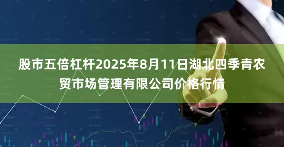 股市五倍杠杆2025年8月11日湖北四季青农贸市场管理有限公司价格行情
