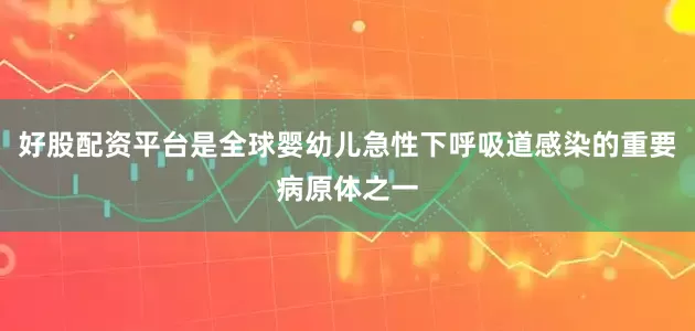 好股配资平台是全球婴幼儿急性下呼吸道感染的重要病原体之一