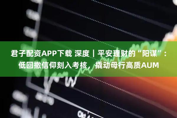 君子配资APP下载 深度｜平安理财的“阳谋”：低回撤信仰刻入考核，撬动母行高质AUM